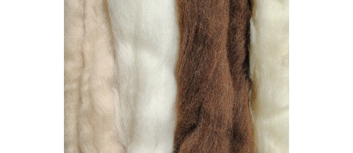 La fibra de alpaca posee 22 tonalidades naturales
